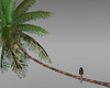 L.O.V.E. palm tree