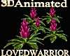 5 Animated Bromeliads 3