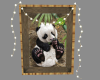 Attic Panda Picture