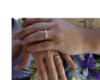 wedding rings photograph