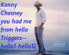 Kenny Chesney hello