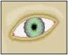Silver Green Eye Sticker