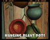 *Hanging Plant Pots