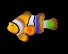 GM Animated colored Fish
