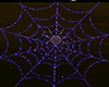 Spider web/ purple light