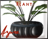 *A* Clarity Plant
