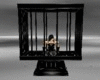 D~ PVC Cage 2