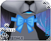 [Pets] Umba | neck bow
