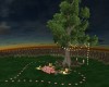 Romantic Moonlight