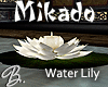 *B* Mikado Water Lily