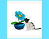 (SS) CAT AND A FLOWER
