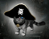 Cursed Pirate Cat