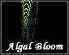 Algal Bloom Lower Body