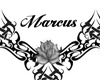 {Mx}Marcus tatt custom