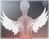 white Mystic wings