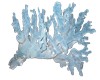 (PF)Blue Coral