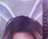 E~ Sexy Bunny Ears