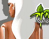" TM Raj Hair REQ DRV