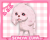 SL | Poodle Pinku