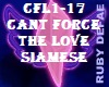 CFL1-17 CANT FORCE LOVE.