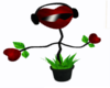 [RQ]Red Dancing Plant