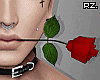 rz. Valentine's Rose M