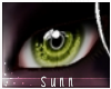 S: Steen | Eyes