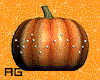 AG-Starry Pumpkin Stripe
