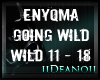 Enyqma - Going Wild PT2