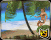 Coconut hammock 10P