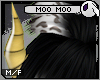 ~DC) Moo Moo [horns]