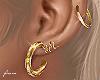 f. gold hoop earrings