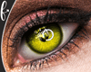 F* Sunny Yellow Eyes
