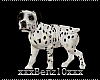 *Dalmatian Puppy