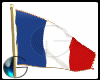 |IGI| French Flag