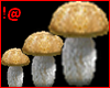 Animated mushroom