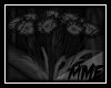 {DL} Dismal Flowers