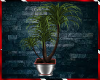 ☑ : T&T Palm Tree