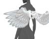 αℓχ|Wings In Chrome