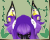 O • Noir Ear v8
