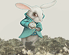 T- Fantasy Rabbit Image