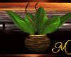 [M] LOVERS Banan plant