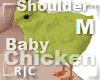 R|C Baby Chick Yellow M