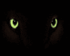 Panther Eyes*anim*