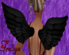 Black Angel Wings