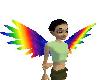 Rainbow Wings Small Feat