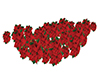 :) Poinsetia Garland Red