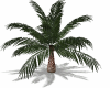♥Deco Palm Tree
