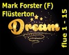 Mark Forster Fluesterton