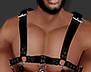 (+_+)METALLIC HARNESS